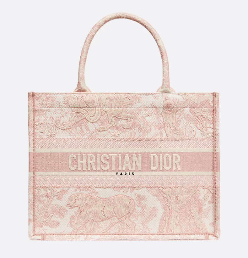 Dior Book Tote