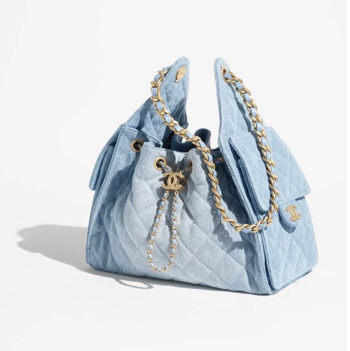 Chanel 25 Hobo Bag