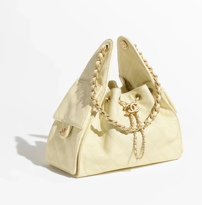 Chanel 25 Hobo Bag