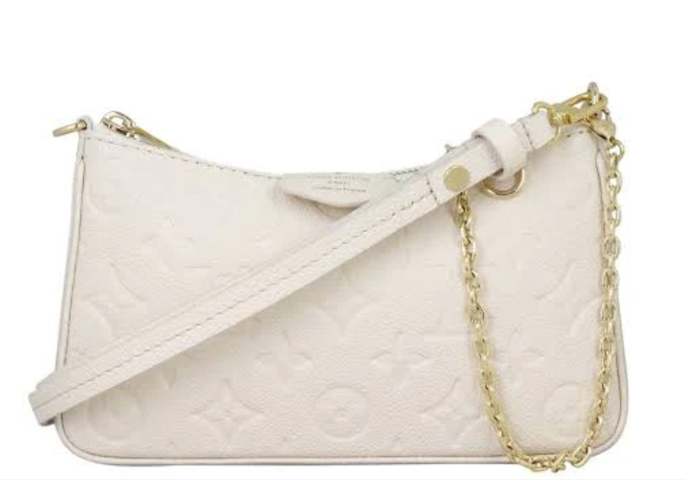 Louis Vuitton easy pouch