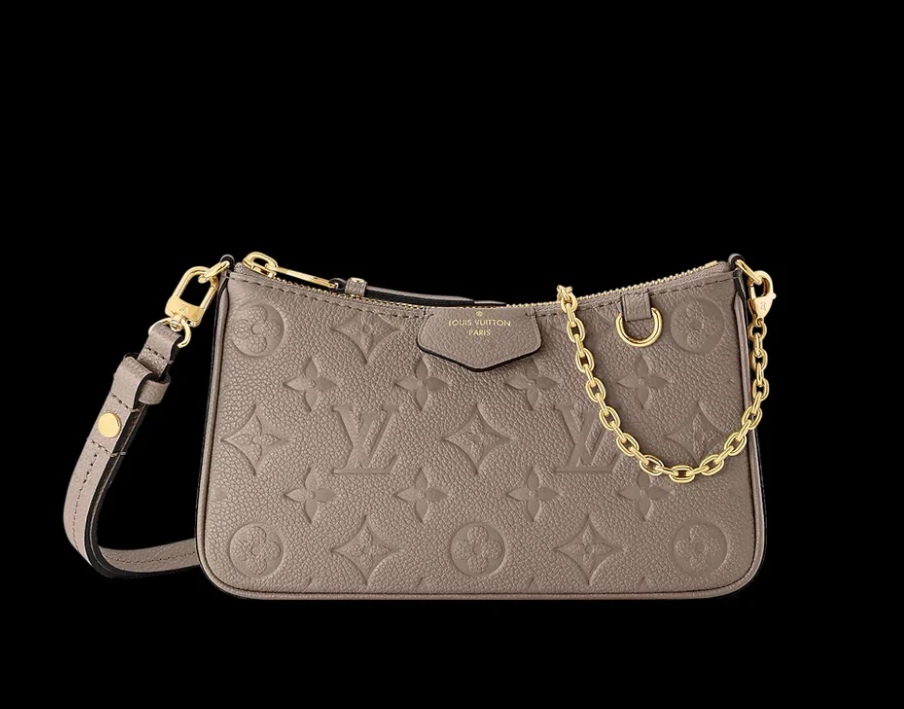 Louis Vuitton easy pouch