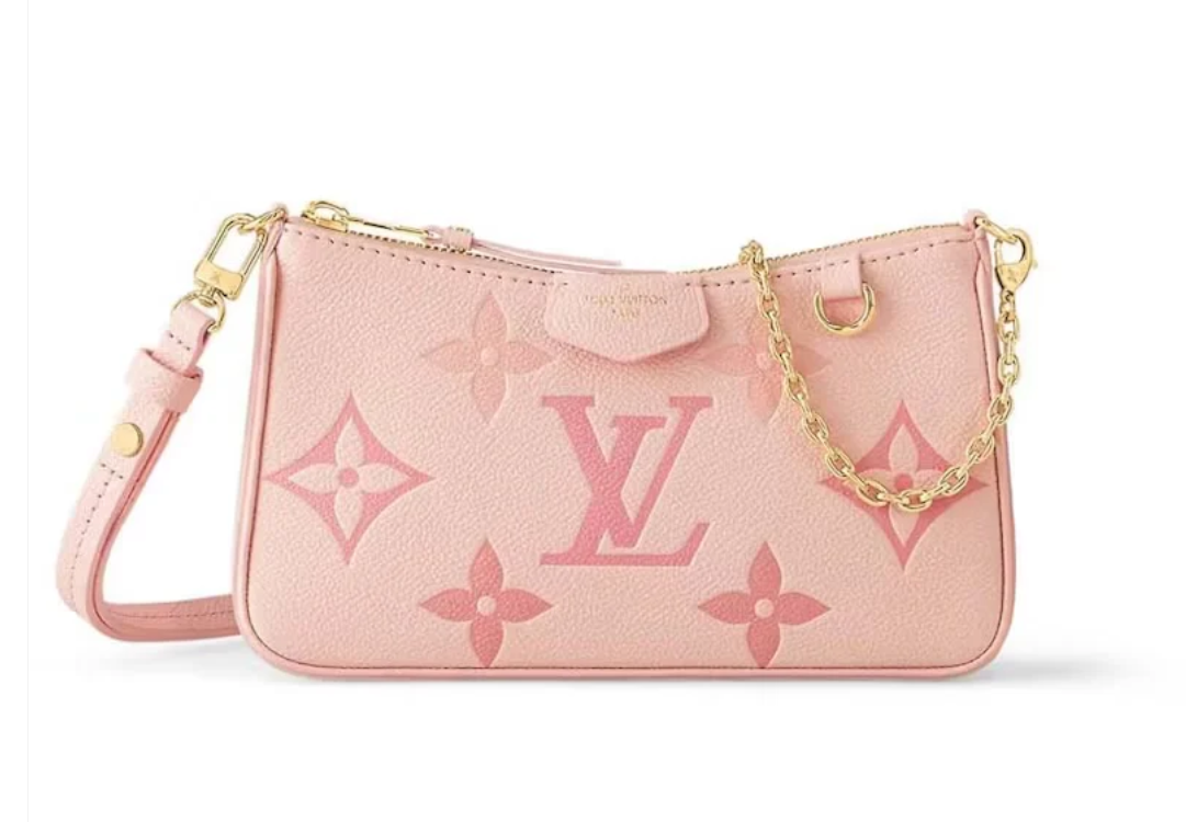 Louis Vuitton easy pouch